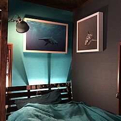 ベッド周り/サメ/サメが好き/ターコイズブルーの壁/ブルーグレーの壁...などのインテリア実例 - 2017-04-03 23:39:38
