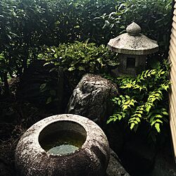 日本庭園のインテリア実例 - 2016-09-11 12:26:40