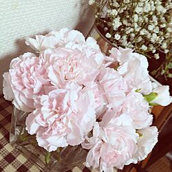 リビング/お花のインテリア実例 - 2013-01-30 18:57:29