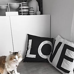 Love/Instagram→mya___k/猫のいる暮らし/海外インテリアに憧れる/白黒インテリア...などのインテリア実例 - 2020-08-17 08:41:50
