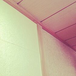 壁/天井/和紙壁紙 ウォールタイル/繊維壁/築45年のインテリア実例 - 2016-03-30 11:49:08