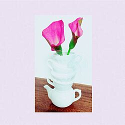 棚/白がすき/お花を飾る/ピンクのインテリア実例 - 2016-05-27 10:14:55