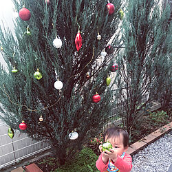 クリスマスツリー/庭/玄関/入り口のインテリア実例 - 2019-11-03 15:29:37
