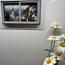 壁/天井/シンク上/好きな写真を飾る/オーストリアハルシュタット/わが家の好きな風景...などのインテリア実例 - 2024-05-24 01:32:44