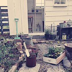 ガーデン/お花/多肉植物のインテリア実例 - 2013-04-01 16:00:47