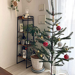 クリスマスツリー/クリスマス/ナチュラルインテリア/観葉植物のある部屋/IKEA...などのインテリア実例 - 2022-12-14 10:16:54