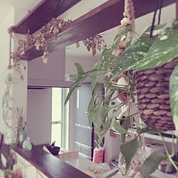 キッチン/観葉植物/植中毒♡/花のある暮らし/ドライフラワーのある暮らし...などのインテリア実例 - 2017-04-17 09:19:32