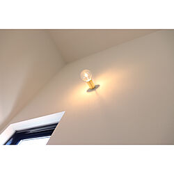 壁/天井/階段の照明/タイガランプのインテリア実例 - 2018-06-09 08:16:07