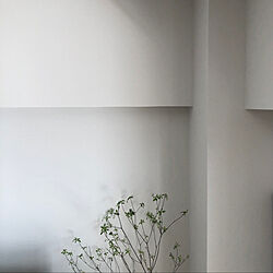 漆喰塗り壁/壁/天井のインテリア実例 - 2021-04-10 11:32:58