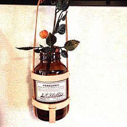 壁/天井/革小物/セリア/ビスラットゴールドの空き瓶/リメイクのインテリア実例 - 2013-11-22 22:19:56