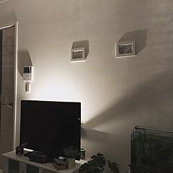 壁/天井/IKEA/フェイクグリーンのインテリア実例 - 2017-02-05 11:54:36