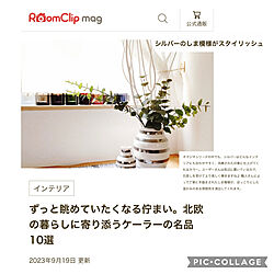 棚/mag掲載ありがとうございます♡/コメントスルーでお願いします/トプ画ありがとうございますのインテリア実例 - 2023-09-19 22:18:06