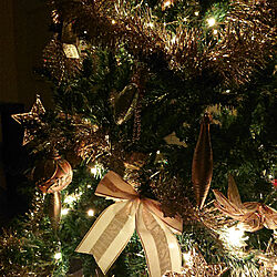 リビング/クリスマス/クリスマスツリーのインテリア実例 - 2021-12-22 19:01:56
