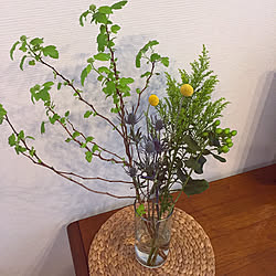 部屋全体/植物のある部屋/みどりのある暮らし/木の雑貨/ナチュラル...などのインテリア実例 - 2018-04-10 15:22:39