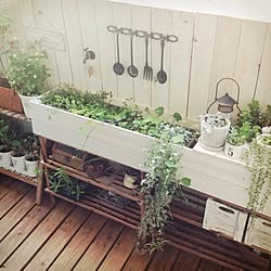 DIY/植物/ベランダのインテリア実例 - 2013-09-11 07:51:23