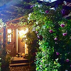 玄関/入り口/1年前の写真/花のある暮らし/ジャスミーナ/バラの庭...などのインテリア実例 - 2017-03-12 08:51:16