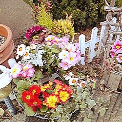 玄関/入り口/お花のある暮らしのインテリア実例 - 2016-02-14 18:50:09
