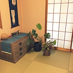 和紙畳/モンステラ/銅製の火鉢/アルメダールスの端布/てぬぐいタペストリー...などのインテリア実例 - 2016-11-02 12:10:11