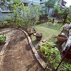 庭作り/庭/ナチュラル/DIY/庭の小道...などのインテリア実例 - 2022-08-16 19:53:15