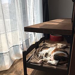 リビング/ねこベッド/IKEAのインテリア実例 - 2017-05-02 13:37:28