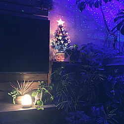 クリスマス/BlissLights SKYlite/観葉植物/リビングのインテリア実例 - 2020-12-05 20:52:35