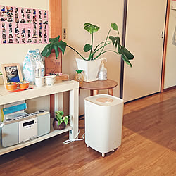 リビング/加湿器/加湿器もインテリアに/豊かな暮らし/観葉植物のある暮らし...などのインテリア実例 - 2021-02-06 12:38:23