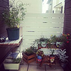 玄関/入り口/DIY/植物のインテリア実例 - 2013-07-06 15:06:45
