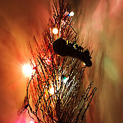 クリスマスディスプレイ/レトロ/リビング/照明/ヤシの木の枯れ枝...などのインテリア実例 - 2020-12-25 23:58:05