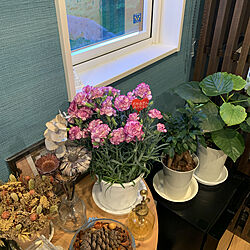 母の日/鉢植え/IKEA/ドライフラワー/観葉植物のインテリア実例 - 2021-05-10 18:18:39