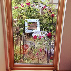 玄関/入り口/中庭/アイアンフェンス/ばらの花/赤い薔薇...などのインテリア実例 - 2015-06-21 09:09:33