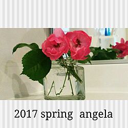 バス/トイレ/アンジェラ/バラ/花のある暮らしのインテリア実例 - 2017-05-24 21:39:08