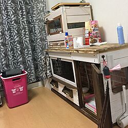わんことハムスター小屋/ハンドメイドのインテリア実例 - 2017-01-27 18:09:52