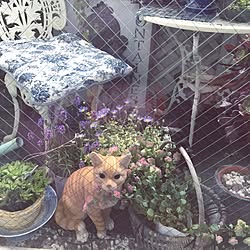 玄関/入り口/ベランダガーデニング/猫/ガーデンチェア/猫の置物集めてます❤︎のインテリア実例 - 2016-04-28 10:17:43