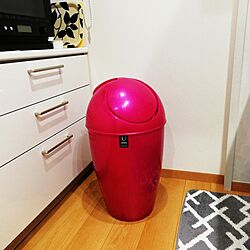 キッチン/ゴミ箱のインテリア実例 - 2023-07-08 18:21:00