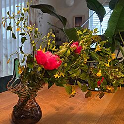 リビング/花のある暮らし/母の日/花瓶/観葉植物のある暮らし...などのインテリア実例 - 2024-05-12 14:44:52