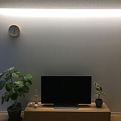 リビング/間接照明/テレビボードのインテリア実例 - 2018-03-07 18:05:04