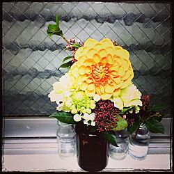 キッチン/お花を飾る/お花のインテリア実例 - 2014-03-07 00:13:19