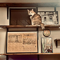猫のための部屋づくり/温度計/アートギャラリー/アートポスター/写真を飾る...などのインテリア実例 - 2023-05-30 18:51:30