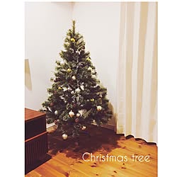 リビング/無垢材の床/クリスマスツリー/クリスマスツリー150cmのインテリア実例 - 2016-11-17 09:46:10