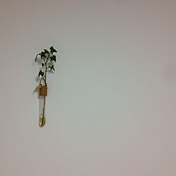 ベッド周り/植物のインテリア実例 - 2013-04-19 22:00:22
