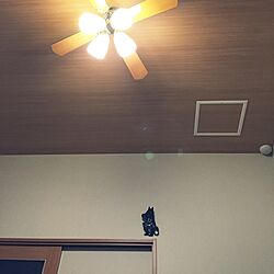 壁/天井/ムーミン/照明のインテリア実例 - 2015-07-23 09:13:23