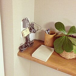 棚/キッチンカウンター/DIY/観葉植物のインテリア実例 - 2013-03-31 21:47:48