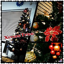 クリスマス/クリスマスツリーのインテリア実例 - 2013-12-02 01:19:11