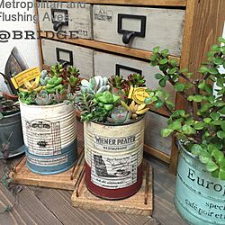 棚/DIY/雑貨/succulent plants/リメ缶...などのインテリア実例 - 2016-02-14 17:54:16