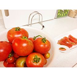 キッチン/畑/トマトのインテリア実例 - 2013-07-31 17:47:22