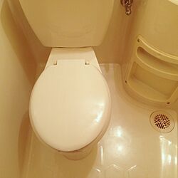 トイレのインテリア実例 - 2013-05-27 18:01:41