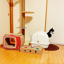 猫トイレ/猫コーナー/可愛い/ネコのいる風景/猫と暮らす...などのインテリア実例 - 2022-04-29 20:36:33