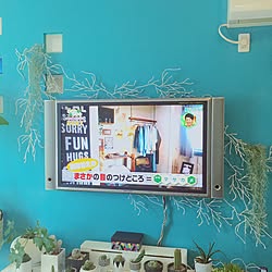 壁/天井/TV出演/TV/インスタ→pop._.smile/DIY...などのインテリア実例 - 2015-06-14 11:25:13