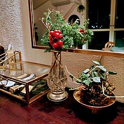 机/クリスマス/ボタニカルライフ/植物のある暮らし/アジアン家具...などのインテリア実例 - 2023-12-08 07:38:07