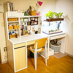 机/写真フレーム/水槽台/MICKE/IKEA...などのインテリア実例 - 2016-11-18 18:12:27